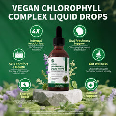 Minch Chlorophyll Liquid Drops 4X Concentrated,Supports Natural Cleansing & Immune Health,Internal Deodorant, Skin & Gut Health