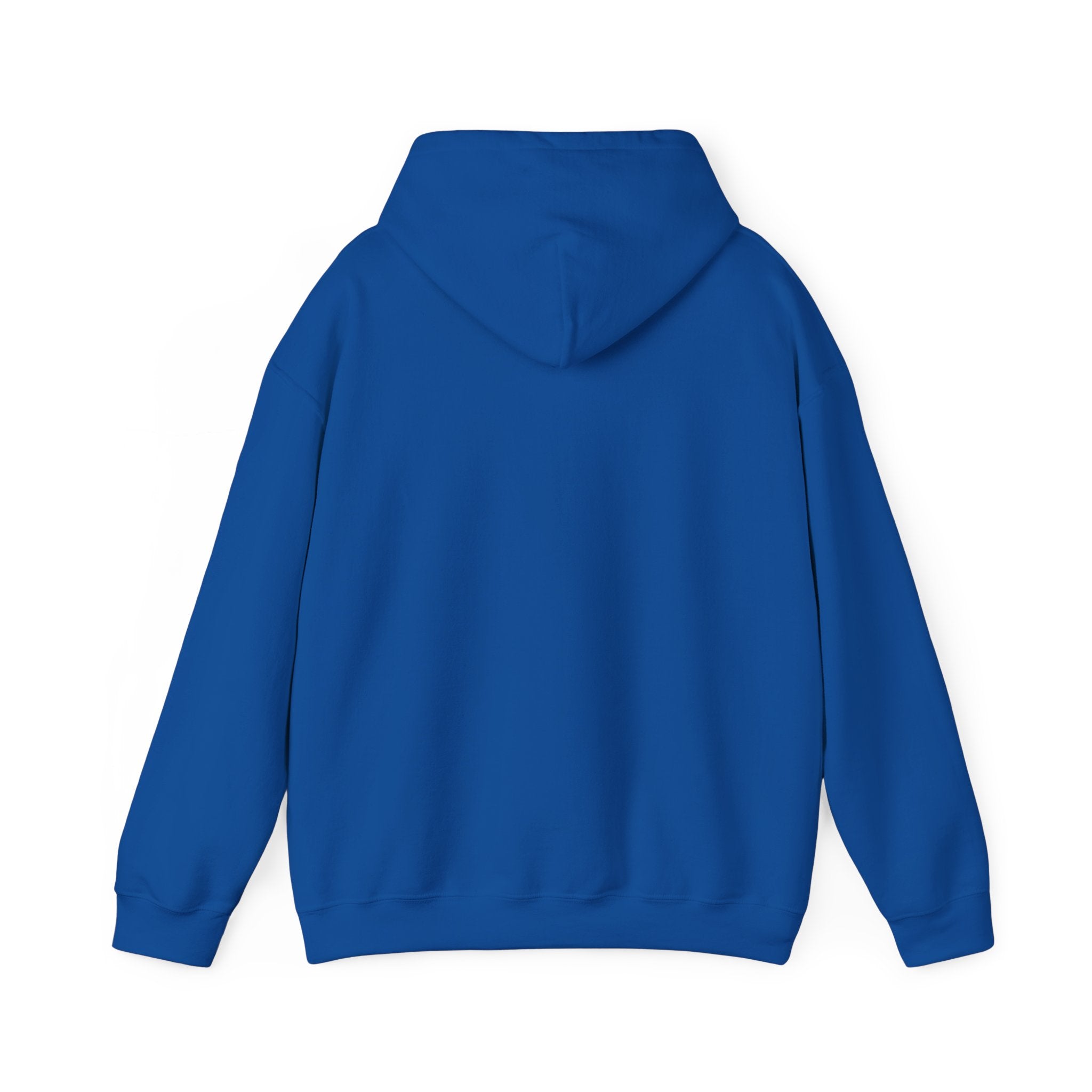 Spark Your Divine Light Hoodie Inspirational Spiritual Pullover