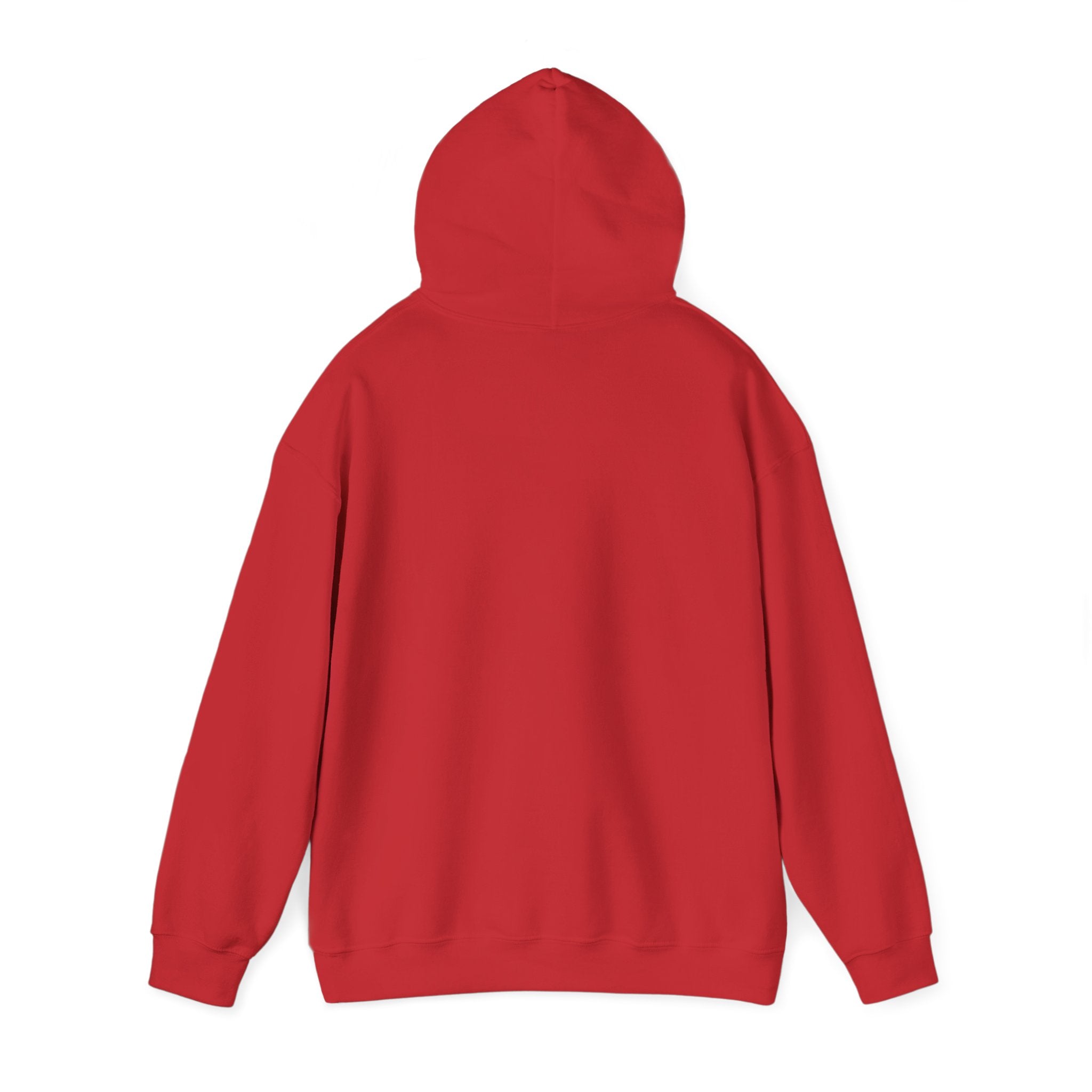 Spark Your Divine Light Hoodie Inspirational Spiritual Pullover