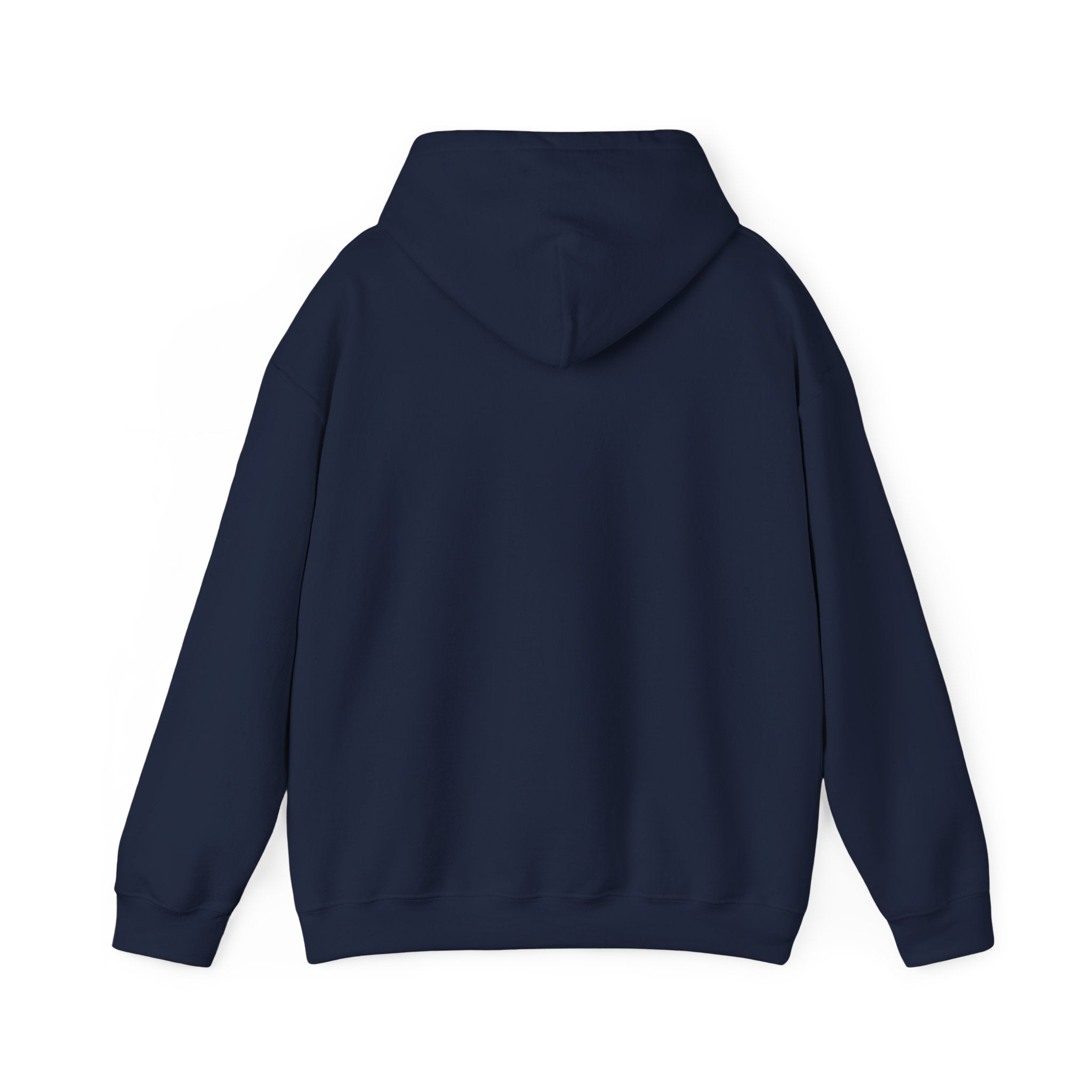 Spark Your Divine Light Hoodie Inspirational Spiritual Pullover