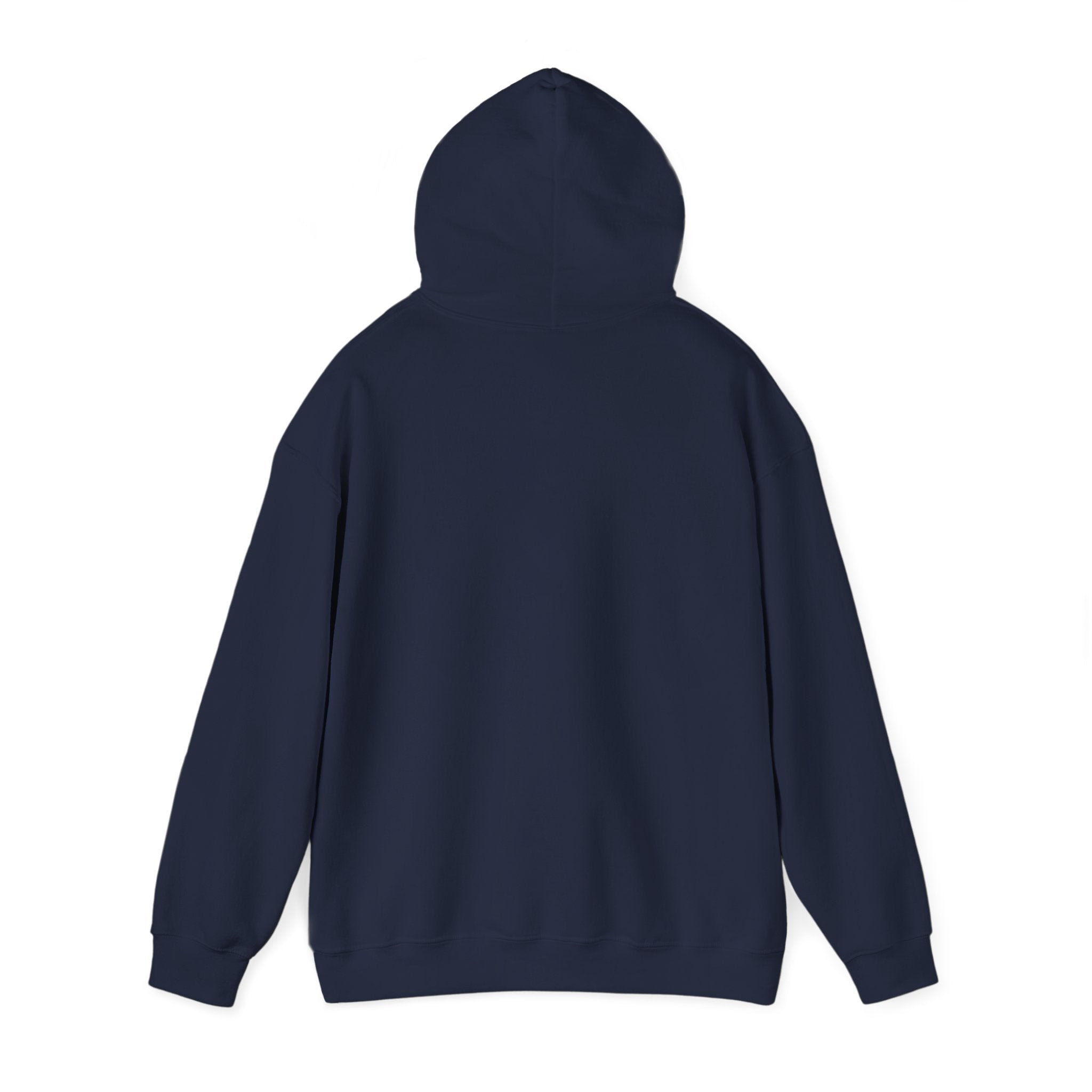 Spark Your Divine Light Hoodie Inspirational Spiritual Pullover
