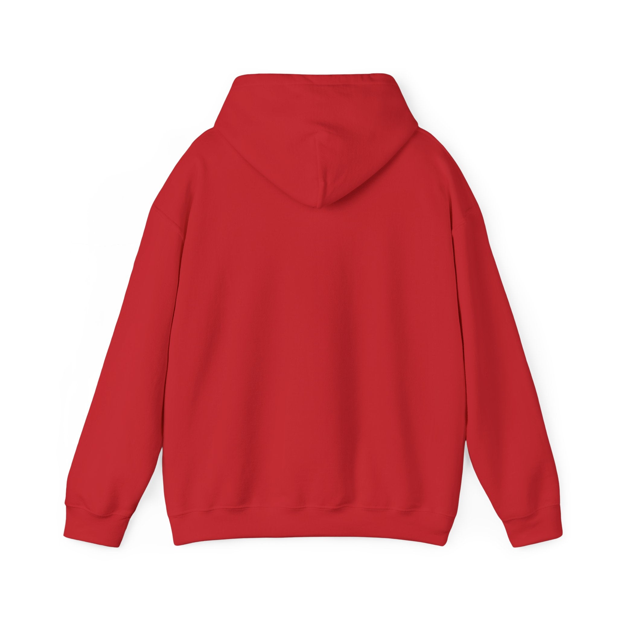Spark Your Divine Light Hoodie Inspirational Spiritual Pullover
