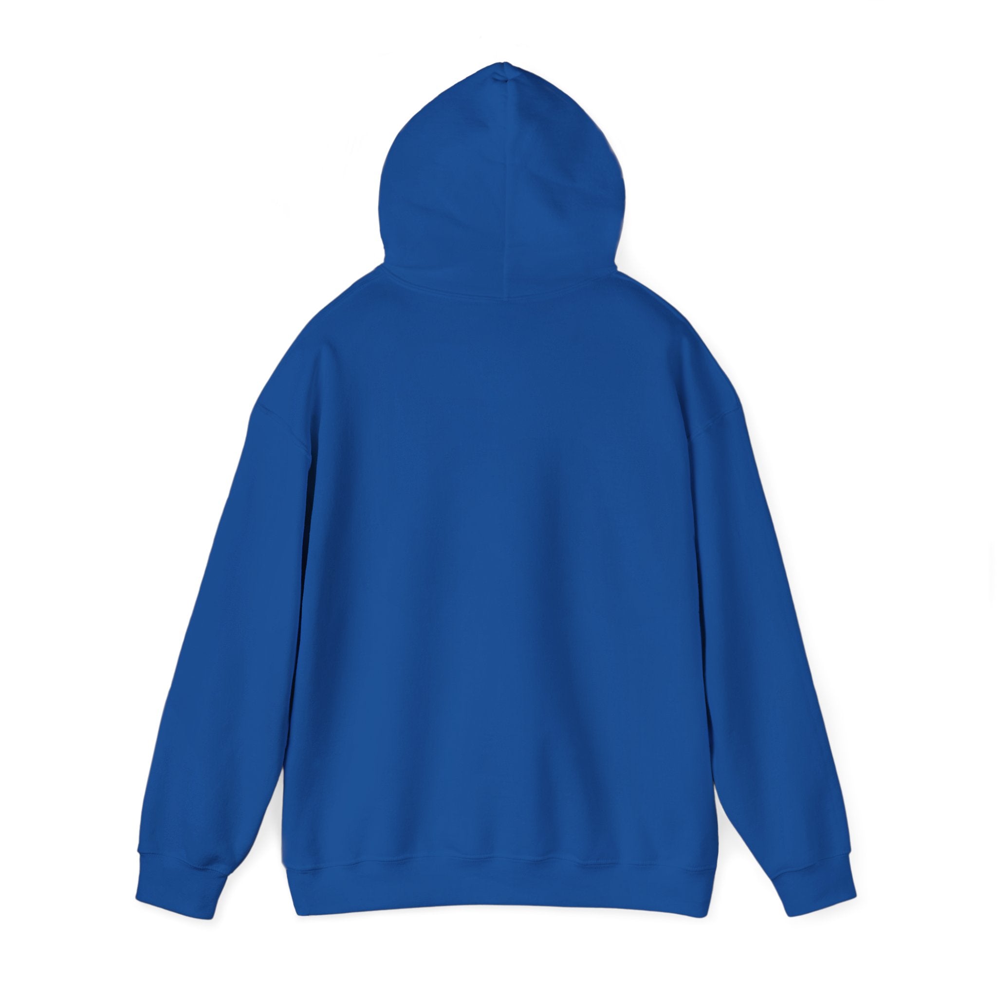 Spark Your Divine Light Hoodie Inspirational Spiritual Pullover
