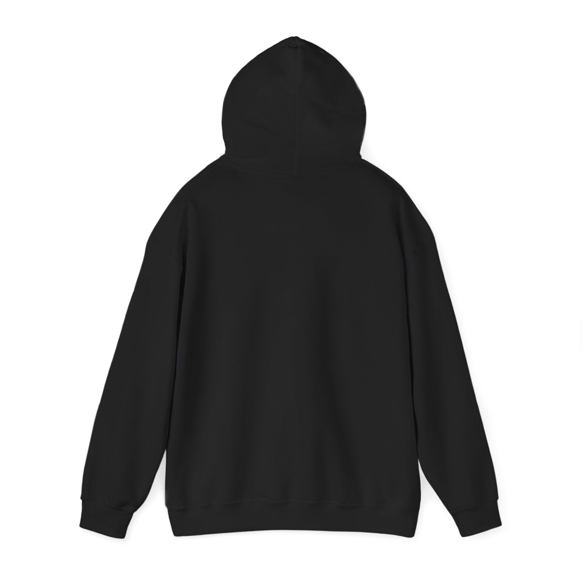 Spark Your Divine Light Hoodie Inspirational Spiritual Pullover