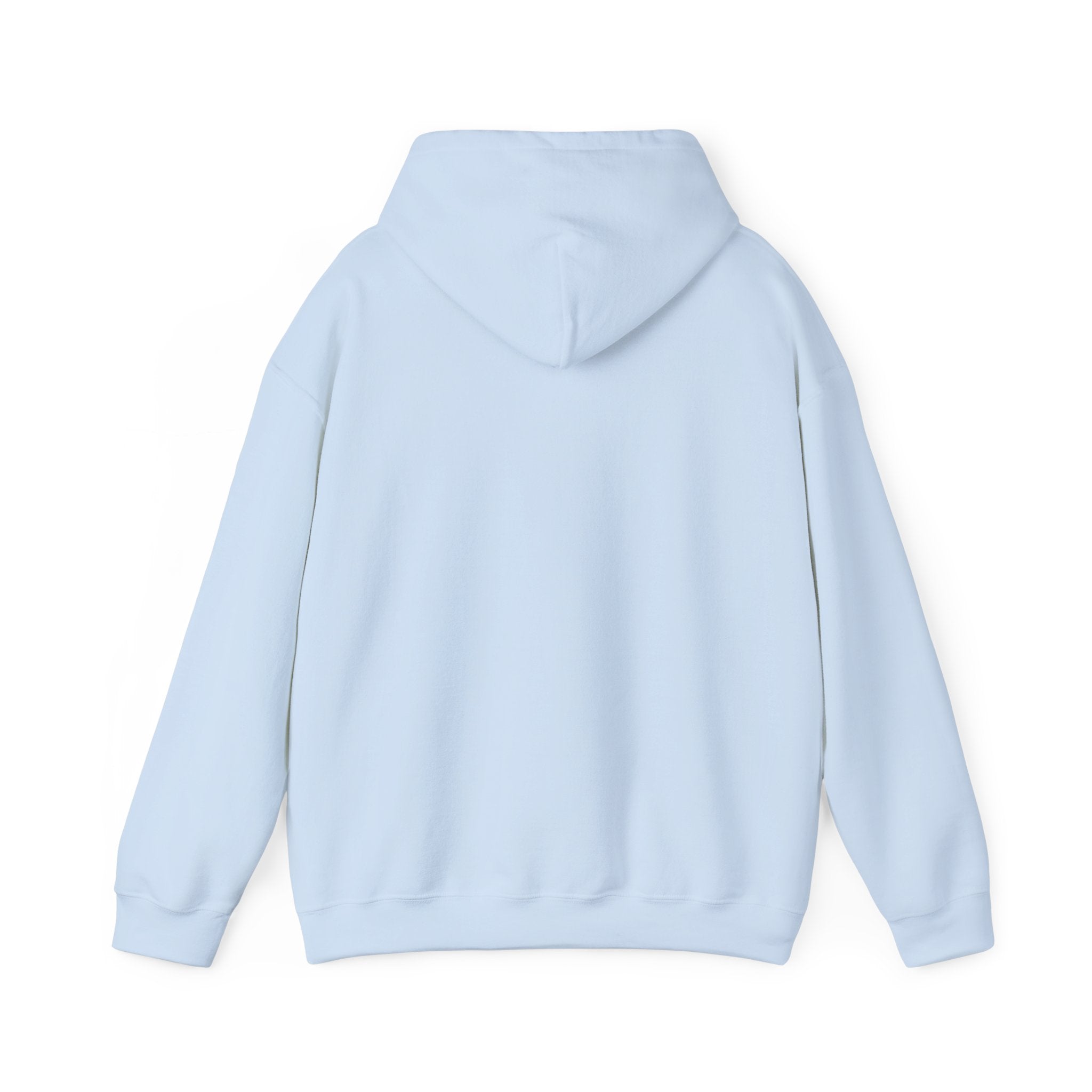 Spark Your Divine Light Hoodie Inspirational Spiritual Pullover