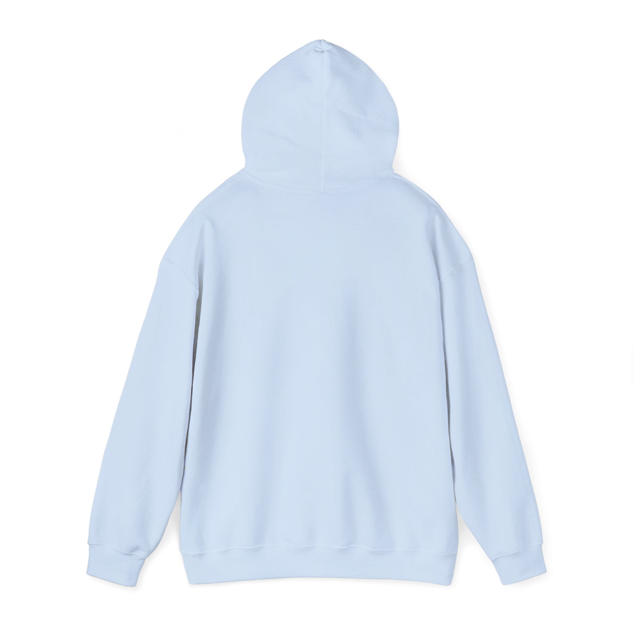 Spark Your Divine Light Hoodie Inspirational Spiritual Pullover