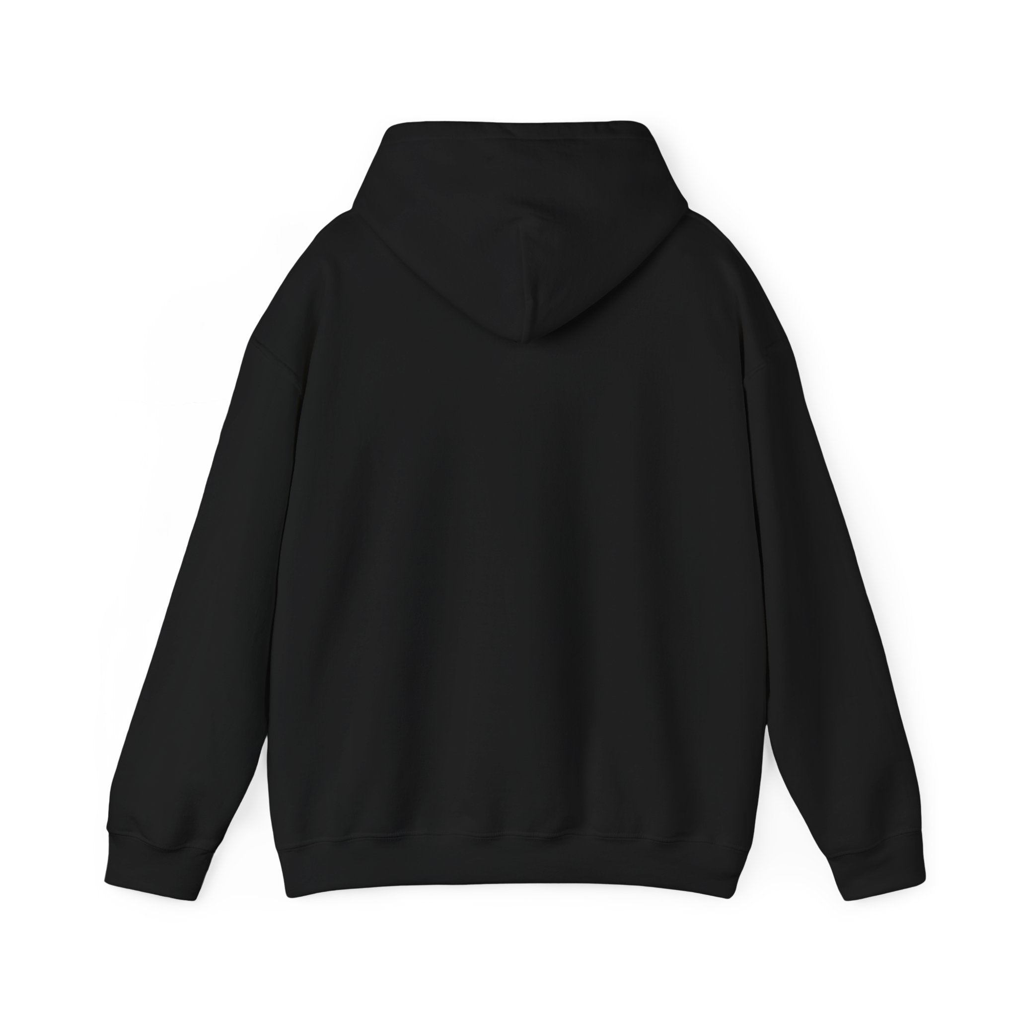Spark Your Divine Light Hoodie Inspirational Spiritual Pullover