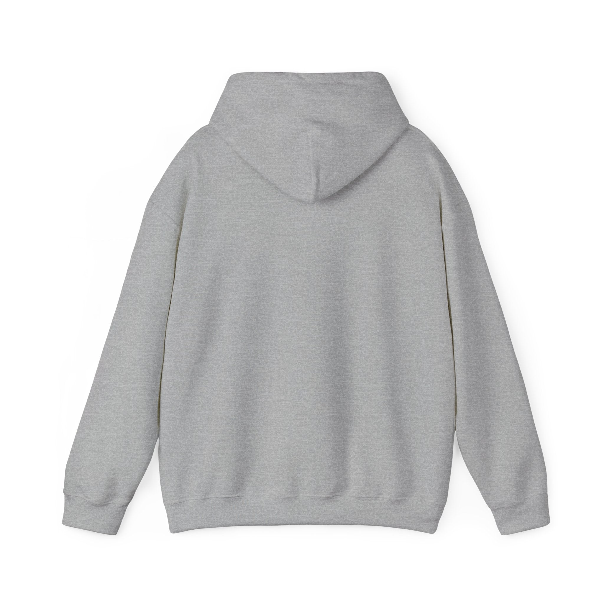 Spark Your Divine Light Hoodie Inspirational Spiritual Pullover