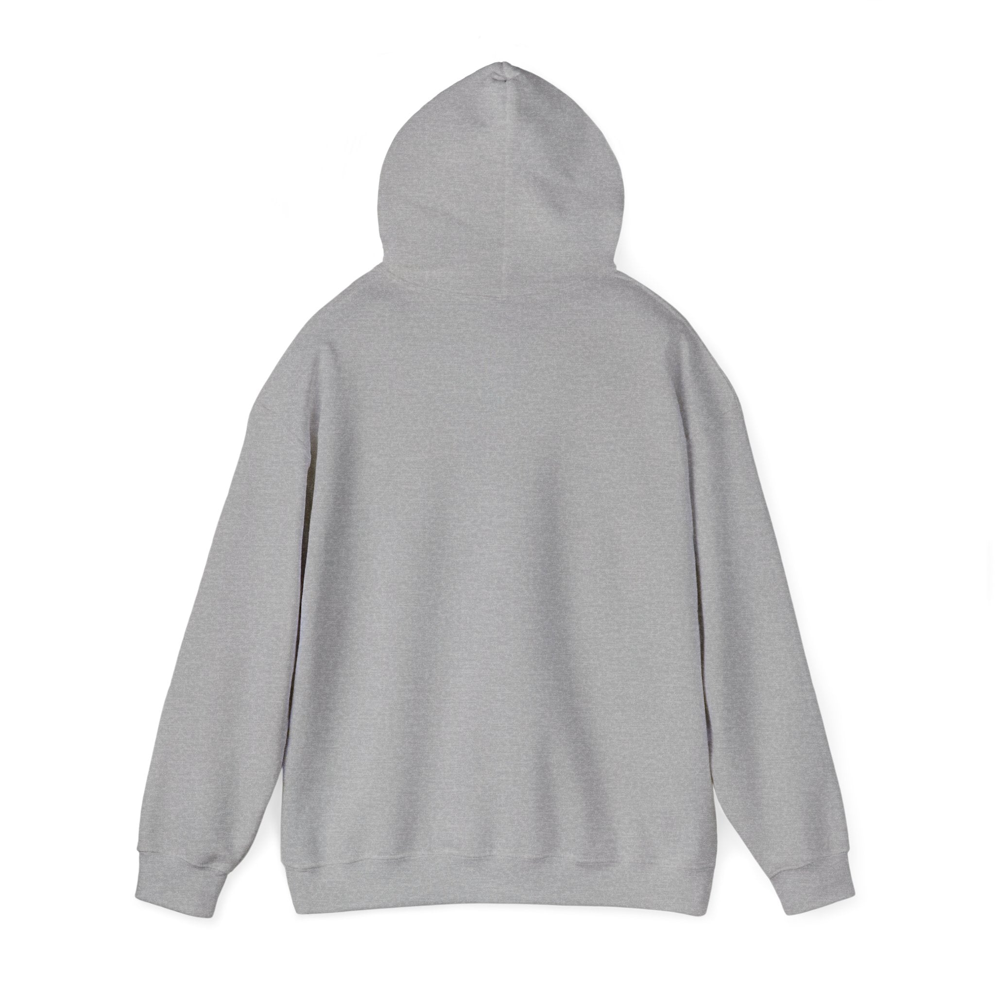 Spark Your Divine Light Hoodie Inspirational Spiritual Pullover