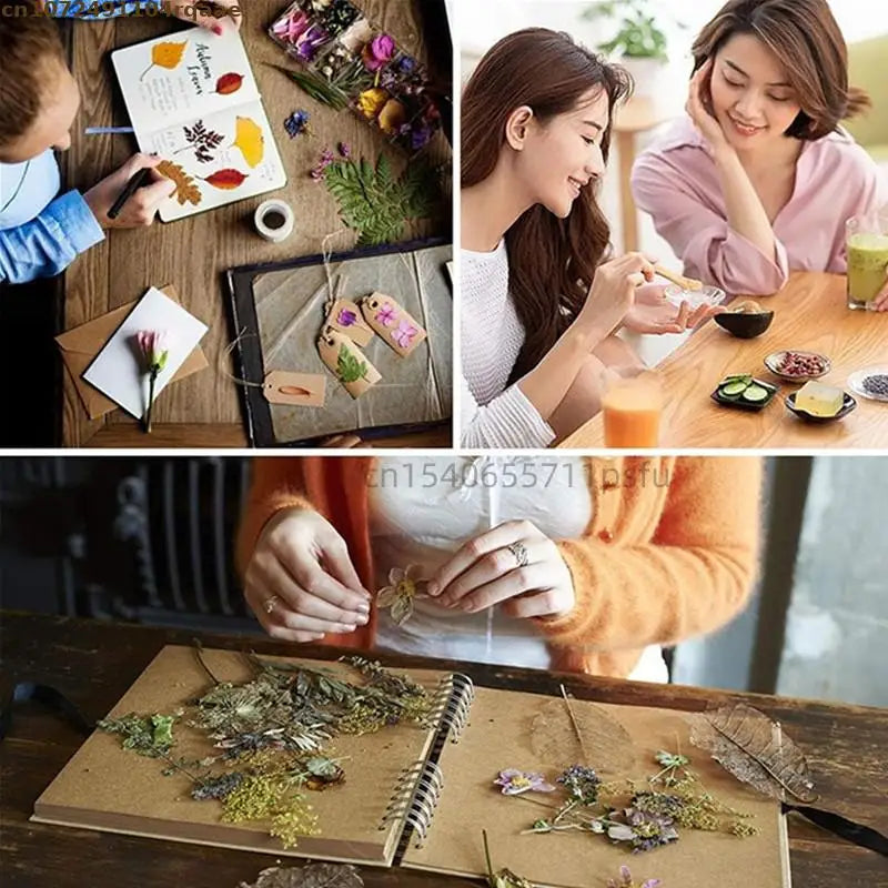Premium Dried Mugwort Leaves Natural Wormwood Artemisia Argyi for Moxibustion Foot Bath Spa Relaxation Long Lasting Reed Diffuse