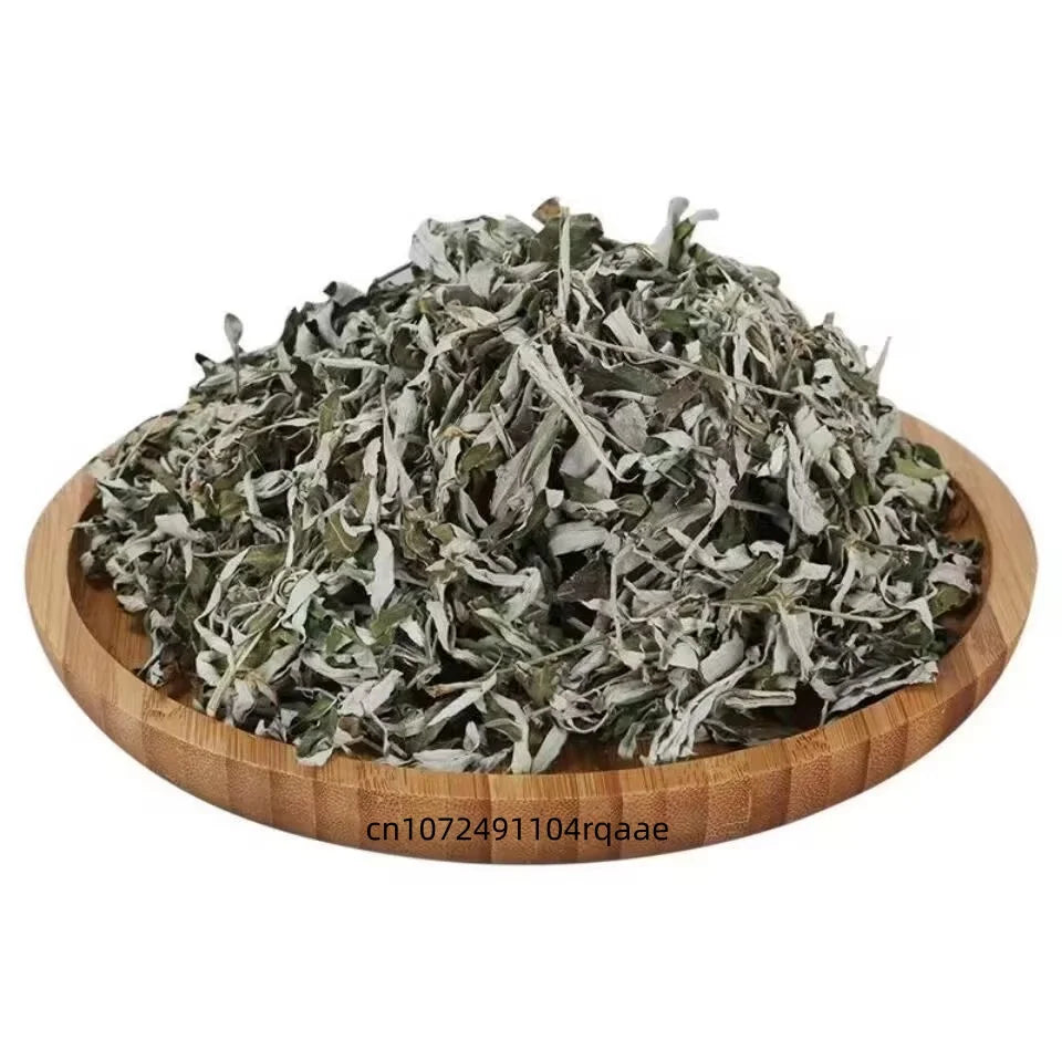 Premium Dried Mugwort Leaves Natural Wormwood Artemisia Argyi for Moxibustion Foot Bath Spa Relaxation Long Lasting Reed Diffuse